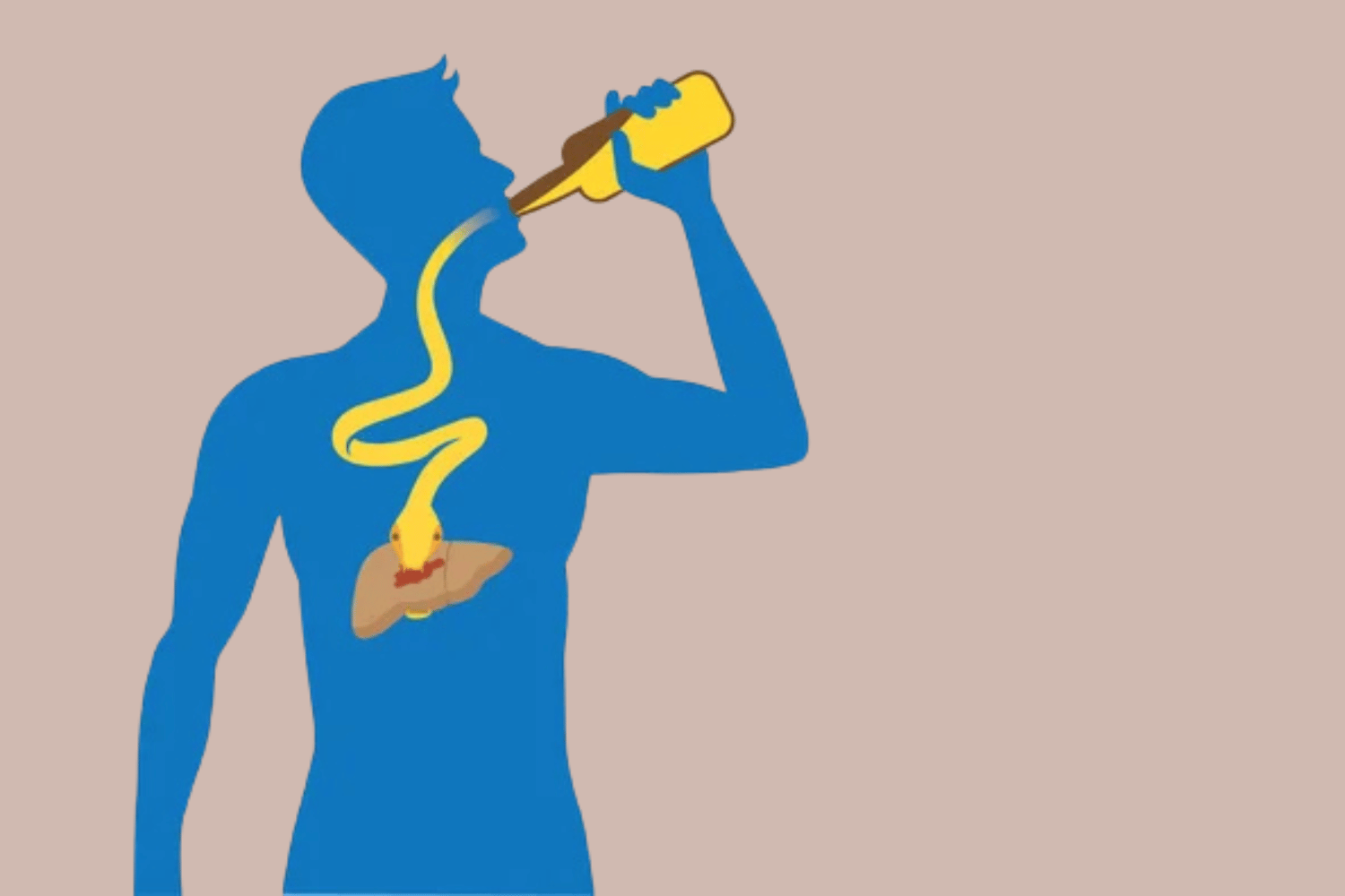 This Popular Drink Could Be Harming Your Liver – Do You Still Drink It?
